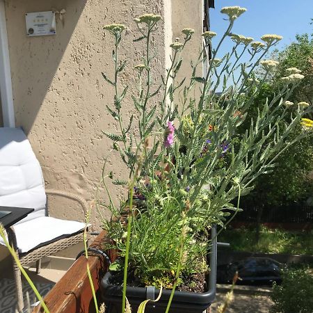 Greatforest Rosehill 1 Apartman ديبريتْسين المظهر الخارجي الصورة